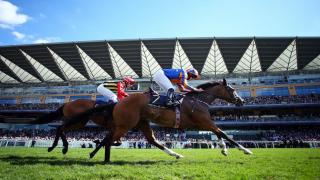 Ryan Moore at Ascot